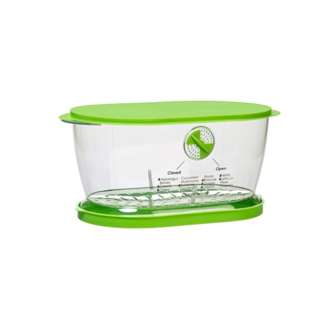 Product Progressive Prepworks Lettuce Keeper