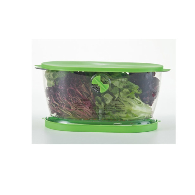 WonLiq Lettuce Keeper, Salad Keeper Container Lettuce Crisper, Keep  Vegetables and Fruits Crispy and Fresh for Salad Berry Lettuce Food Meat  Fish