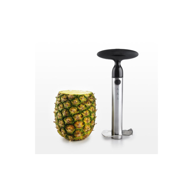 Review: OXO Good Grips Stainless Steel Pineapple Corer & Slicer - YuenX