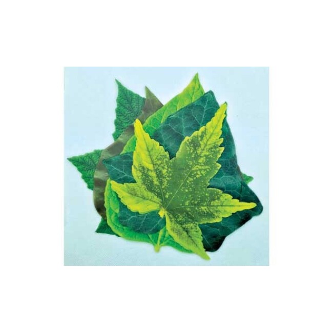 Product Harvest Imports Spring Parchment Leaves