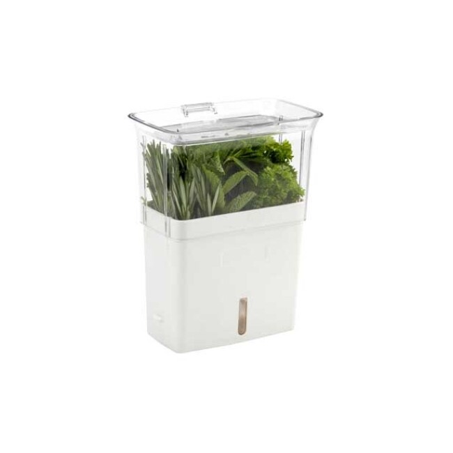 Product Cole & Mason Fresh Herb Keeper