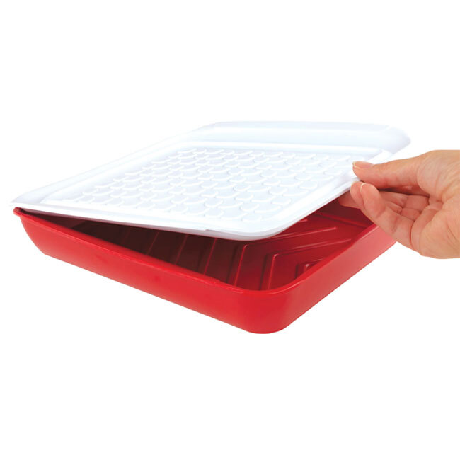 Tovolo Marinade Tray - 10.5” | Red - opening