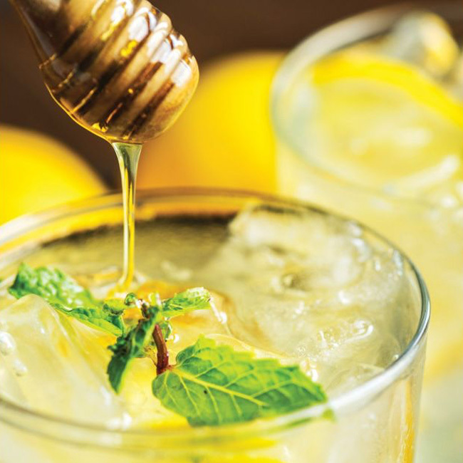 HIC | Eddington’s Honey and Syrup Dipper Stick Server | 6.25”