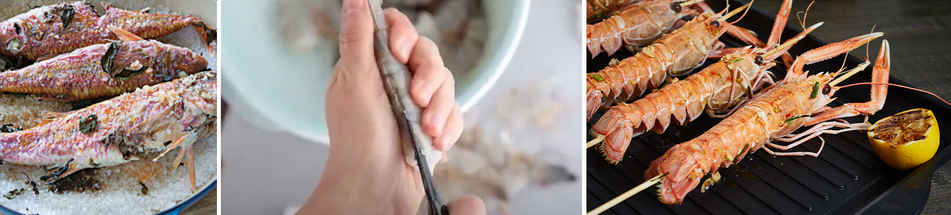 Seafood Tools hero