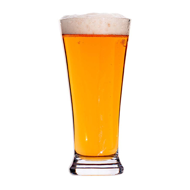 BOLD Drinkware Titan Pilsner Glass | 14 oz. with Beer