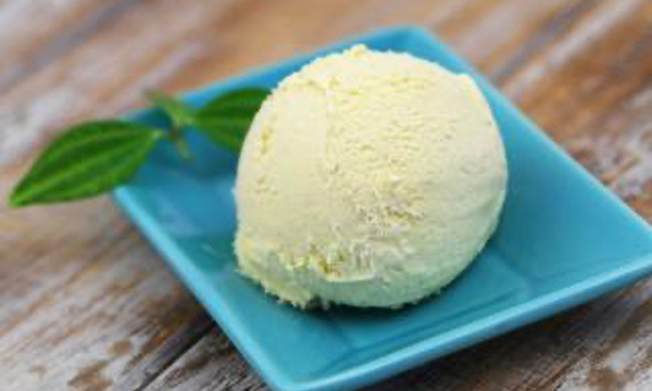 Simple Vanilla Ice Cream