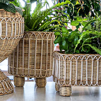 Rattan Logo Category