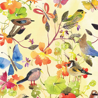 Birds & Butterflies Collection