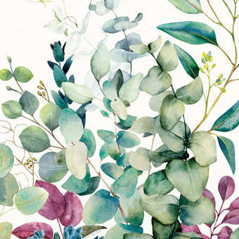 Eucalyptus & Mint Collection