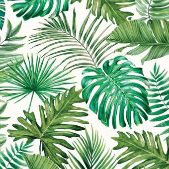 Palm Breeze Collection Category