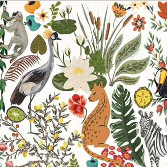 Wild Lemon Collection Category