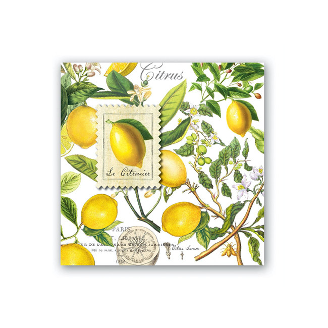 Product Michel Design Works Lemon Basil Cocktail Napkins