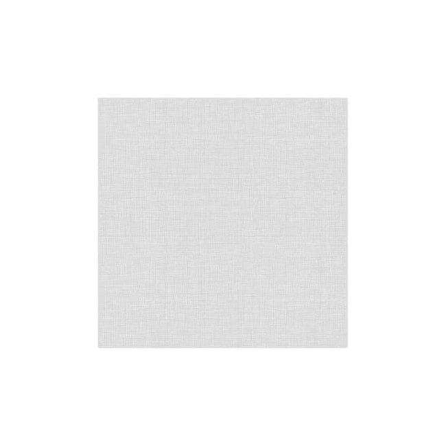 Vietri Papersoft Napkins Easy Dinner Napkins | Light Gray (Pack of 20)